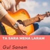 Ta Sara Mena Laram - Single