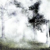 Still Havin (feat. Sledge) - Single - plegism