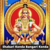 Shabari Konda Bangari Konda - Single