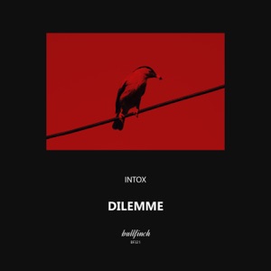 Dilemme - Single