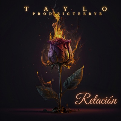 Relación (feat. BigTerryR) - Single