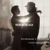 Nebun De Alb