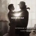 Nebun De Alb