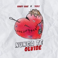 Nunca Te Olvide - Single - YZFZ & Baby SMK