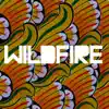 SBTRKT - Wildfire