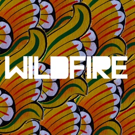 Wildfire SBTRKT