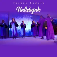 Hallelujah — Joshua Godwin