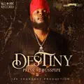 Destiny