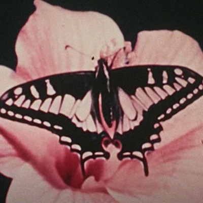 Jealous (feat. Finch) - Single