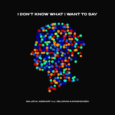 I don’t know what I want to say (feat. Delaram Kafashzadeh) - Single