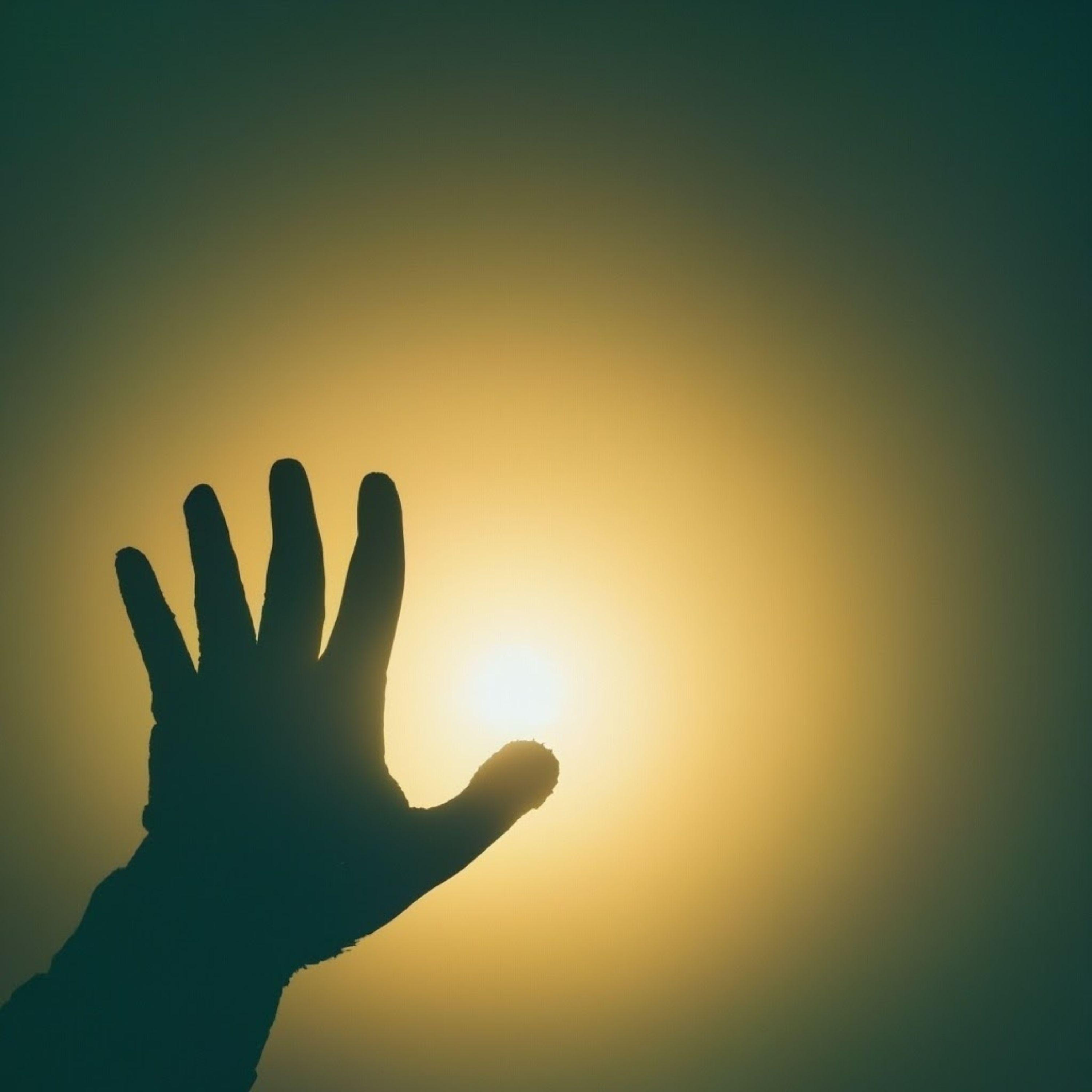 Not Gonna Lose You - Single