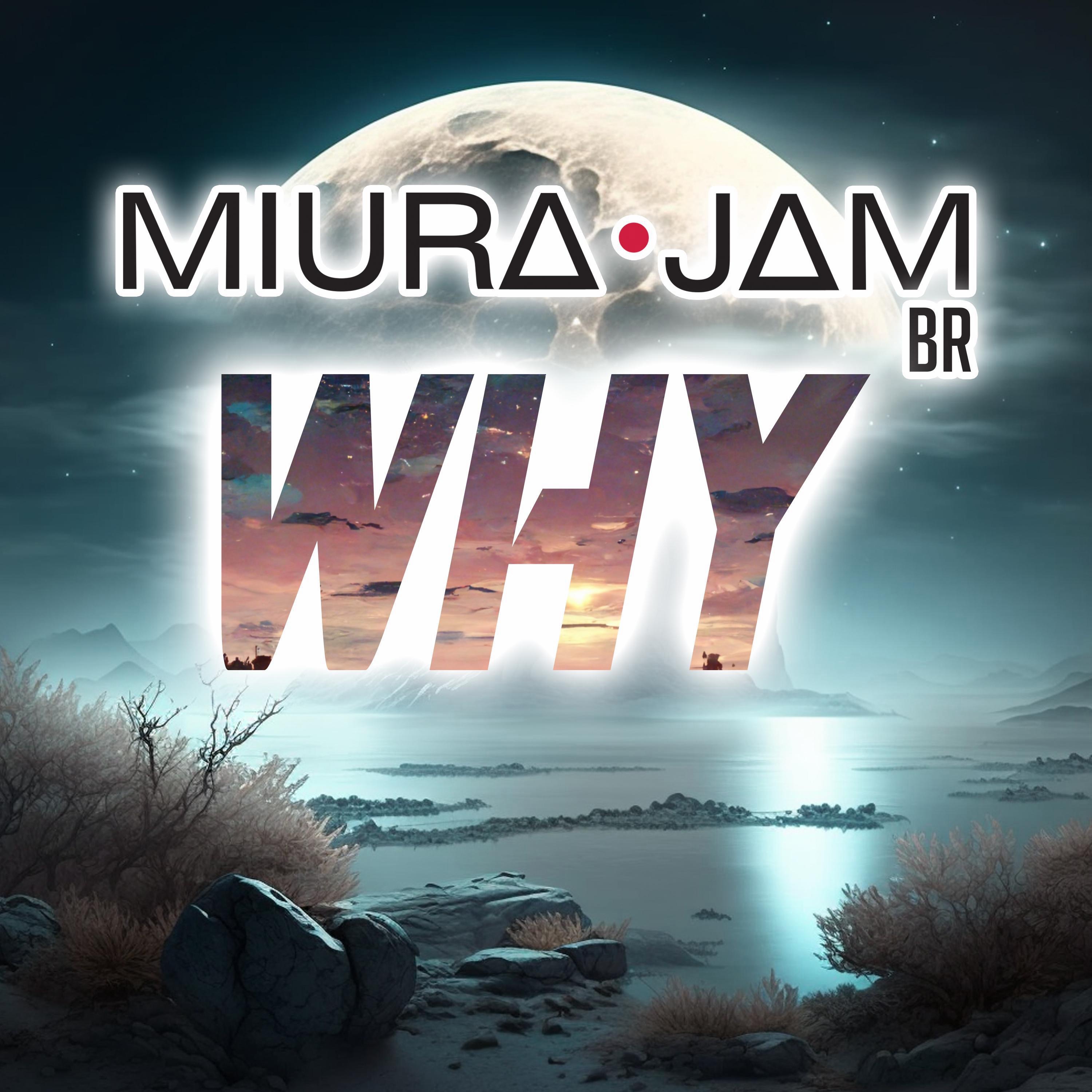 Why (Final Fantasy VII Crisis Core) - Single
