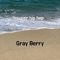 Super Hip Hop - Gray Berry lyrics