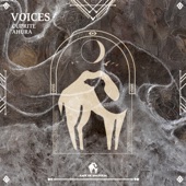 Voices artwork