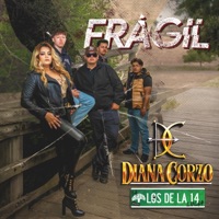Frágil (feat. Los De La 14) - Single - Diana Corzo