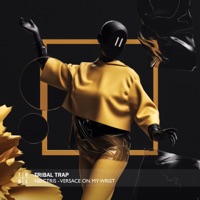 Versace On My Wrist - Single - NØCTRIS.