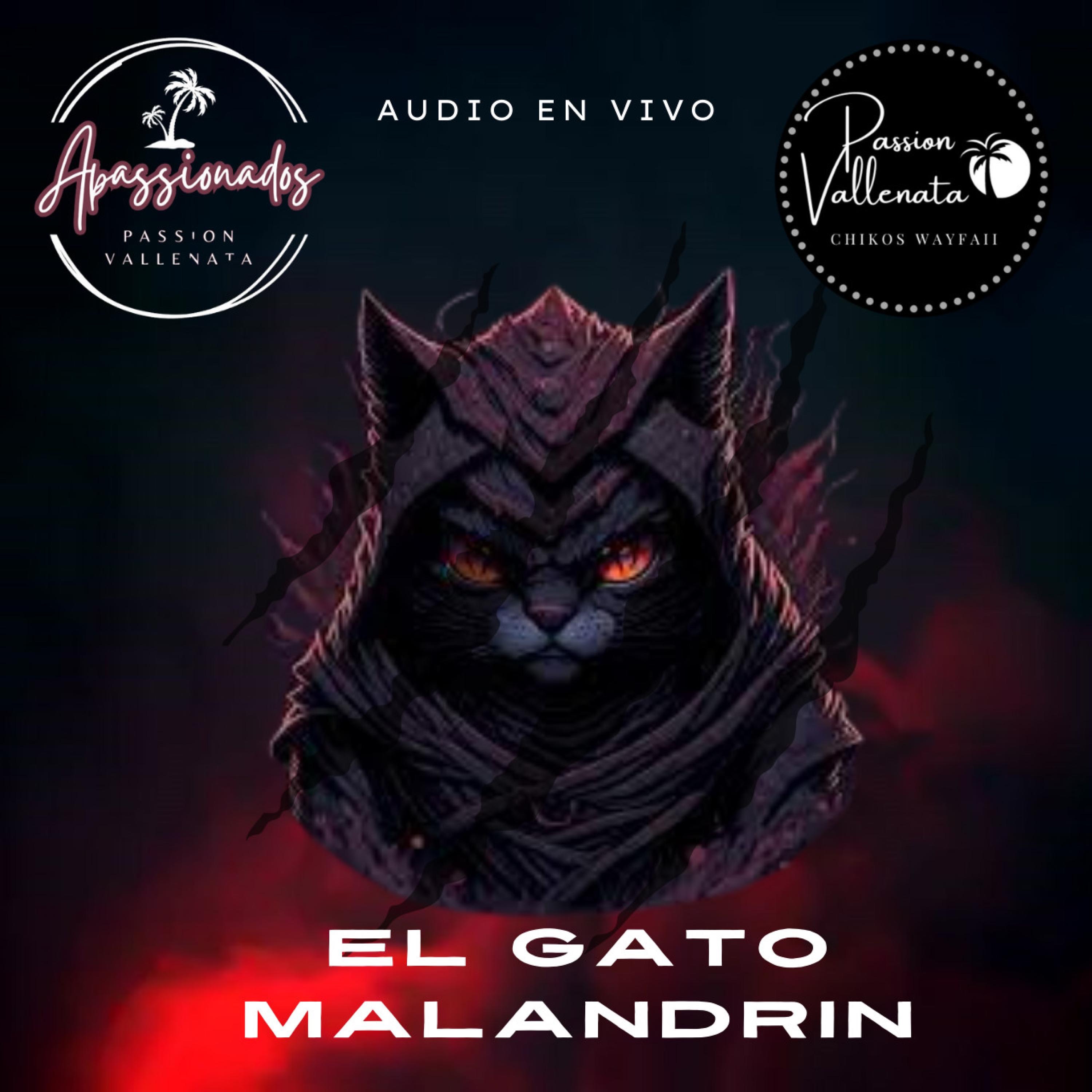 EL GATO MALANDRÍN (PASSION VALLENATA EN VIVO) - Single