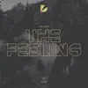 Felon - The Feeling (Extended Mix)