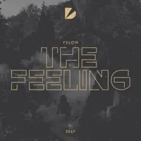 The Feeling (Extended Mix) — Felon