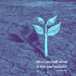 Who Can Tell What Is the Perfection? (Instrumental) - Single