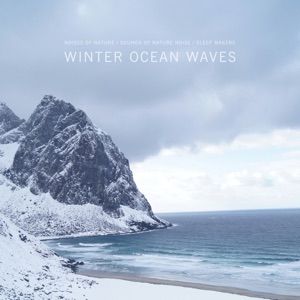 Winter Ocean Waves