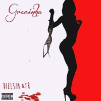 Gracinha (feat. TR) - Single - Dielsin