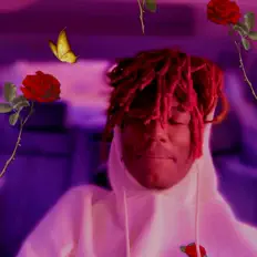 Prettyboyfettiを聴いたり、ミュージックビデオを鑑賞したり、経歴やツアー日程などを確認したりしましょう！