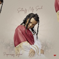 Satisfy My Soul - Paparazzy Dydoo