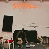 Skyfall - Single - AstroJoe
