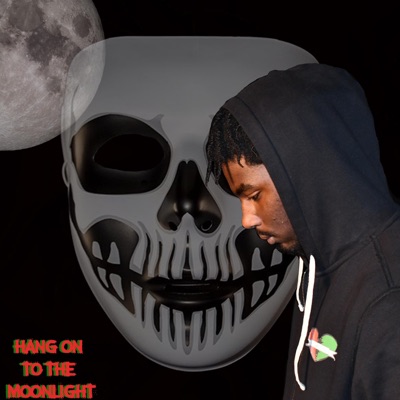 Hang Onto the Moonlight