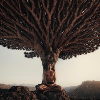 Give Thanks (feat. Uknowaustin) - Single - Jonah Kest