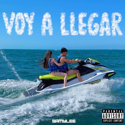 voy a llegar - Single