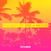 The Best of Eek-A-Mouse artwork
