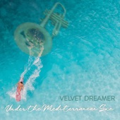 Beautiful Dreamer (feat. Tim Gelo) artwork