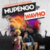 Mupengo Wavho - Single