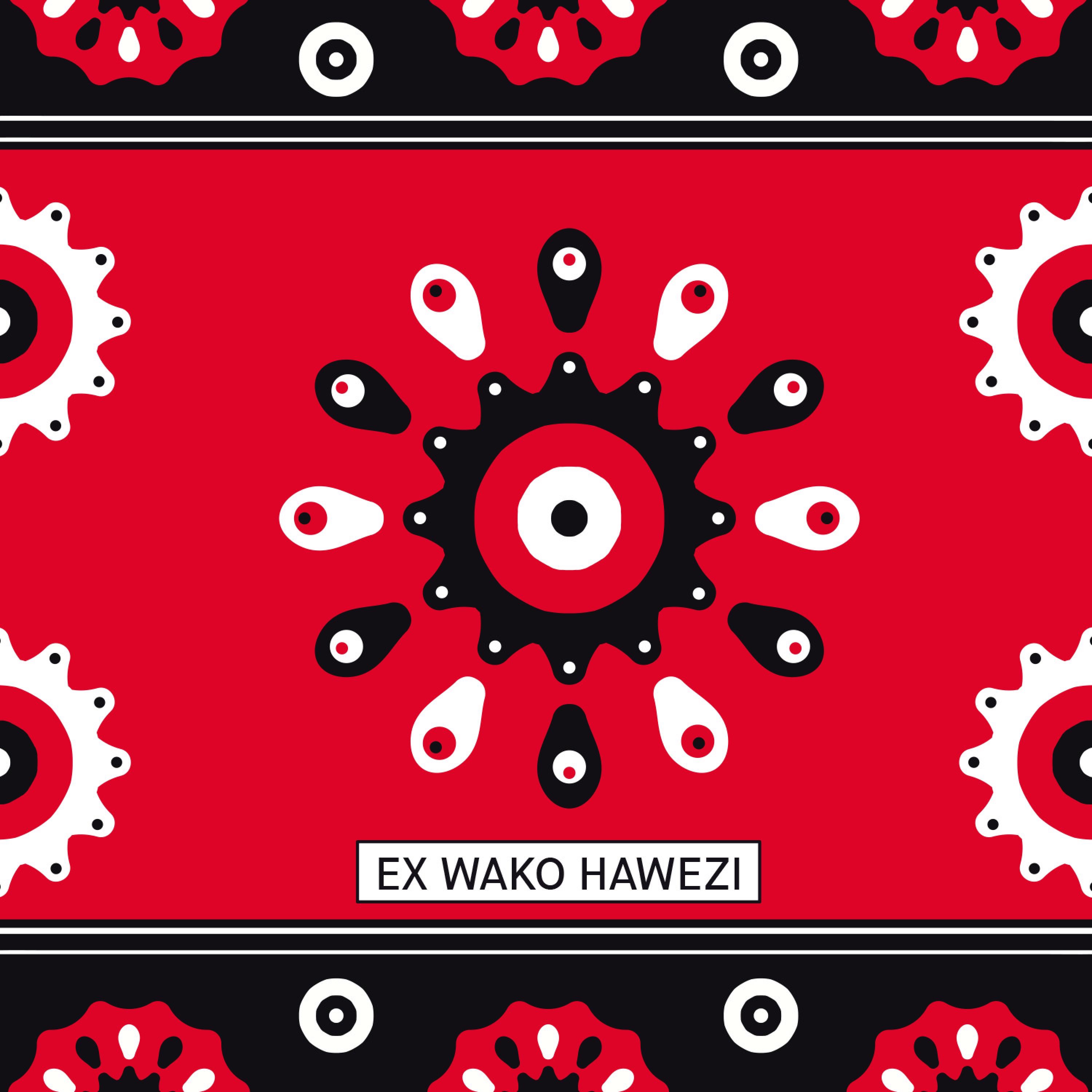 Ex Wako Hawezi - Single