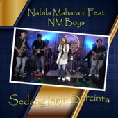 Sedang Ingin Bercinta (feat. NM Boys) artwork