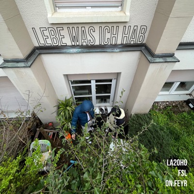 Lebe Was Ich Hab (feat. FSL & on.feyr) - Single