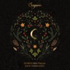 Midnight Sun (Extended Mix) cover art