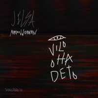 Vil Ha Det (feat. Adrian Johnsen) - Single - Jelsa