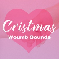 Womb Sounds and Good Night's Sleeping Baby Music Box vol.5, Christmas Music