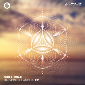 Harmonic Chambers - EP