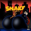 Shake It - Single