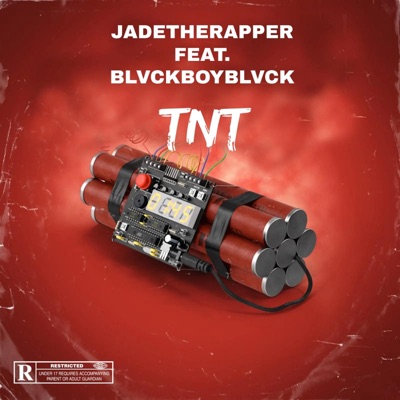 TNT (feat. Blvckboyblvck) - Single