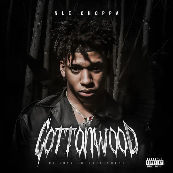 Shotta Flow (feat. Blueface) [Remix] - NLE Choppa: Song Lyrics