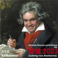 Grande Sonata pathetique - Single