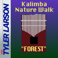 Forest (Extended Version) [Extended Version] - Single - Mr. Tyler Larson