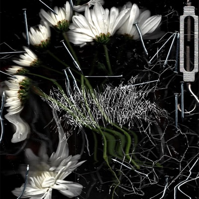 Desilusión Perpetua (feat. KAVARI) [Remix] - Single