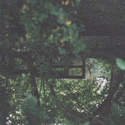 Will You Be My Dance Partner For the Evening?