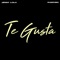 Te Gusta, Pt. 2 (feat. Raboski) artwork
